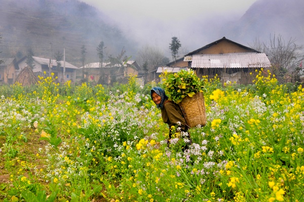 The local people in Sung La Valley